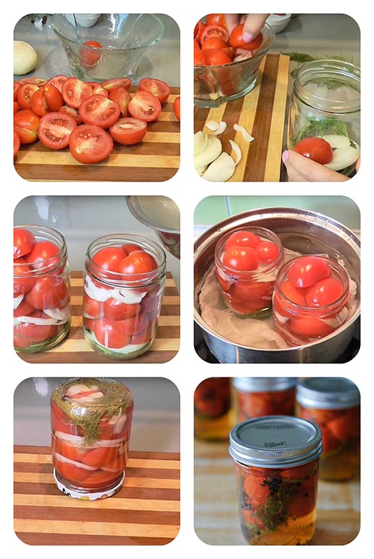 помидоры в желатине на зиму