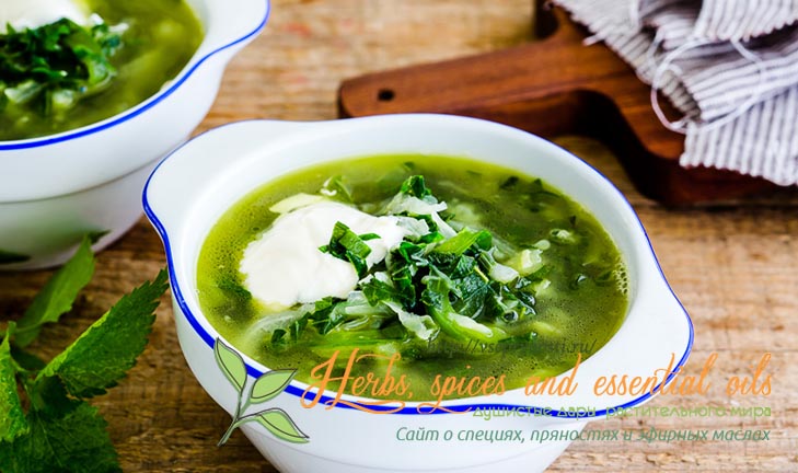 Вкуснейшие зеленые супы с первой зеленью - щавелем, крапивой и шпинатом