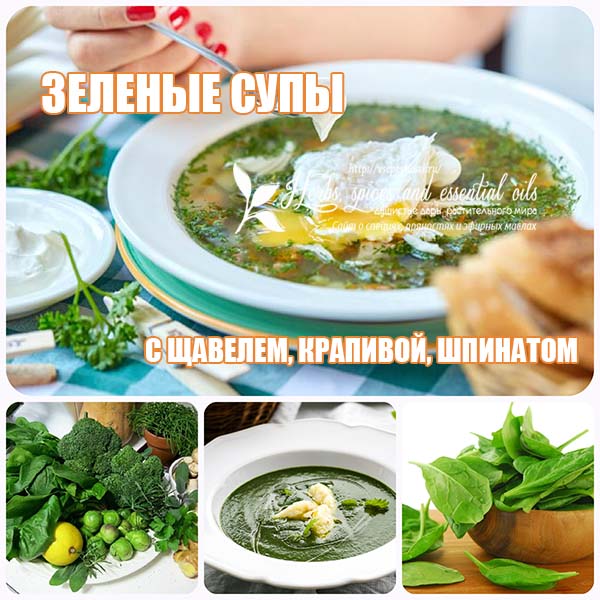 Вкуснейшие зеленые супы с первой зеленью - щавелем, крапивой и шпинатом