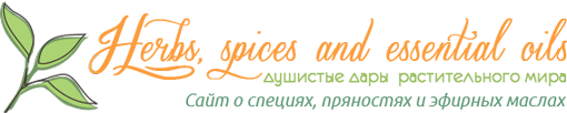 Логотип сайта Сайт о пряностях, специях и эфирных маслах