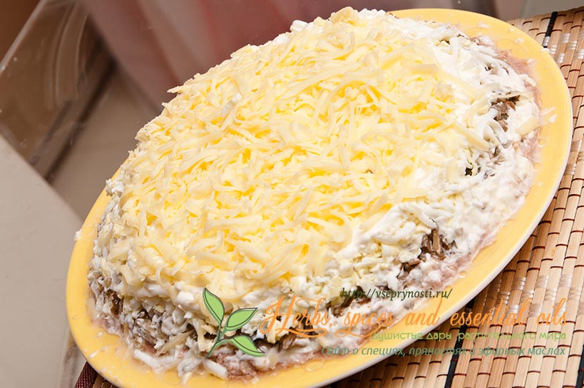 salad with cheese
